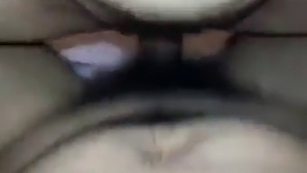 كوغار آسيوية بلمسة ناضجة..
